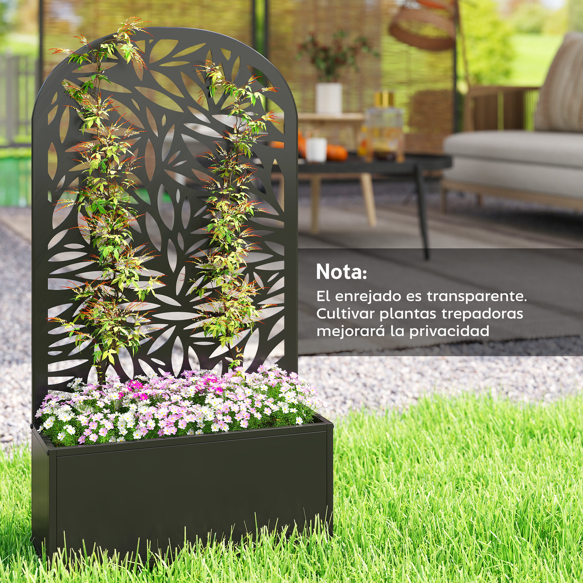 T1008-01-09821 image 5