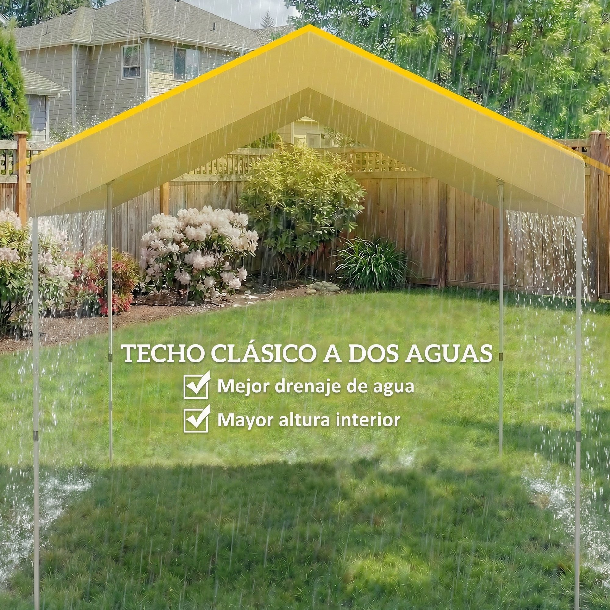 T1008-01-10750 image 3