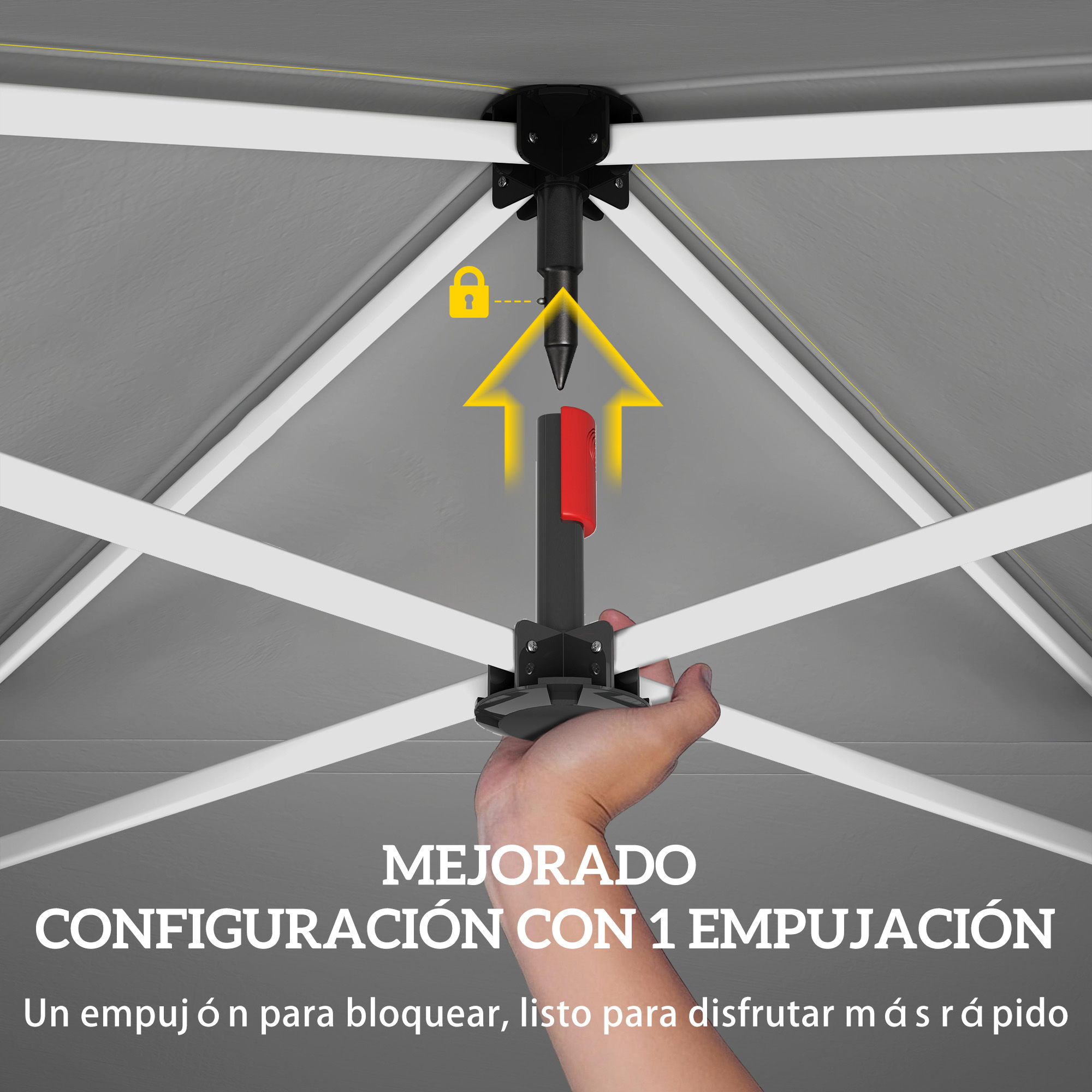 T1008-01-11005 image 1
