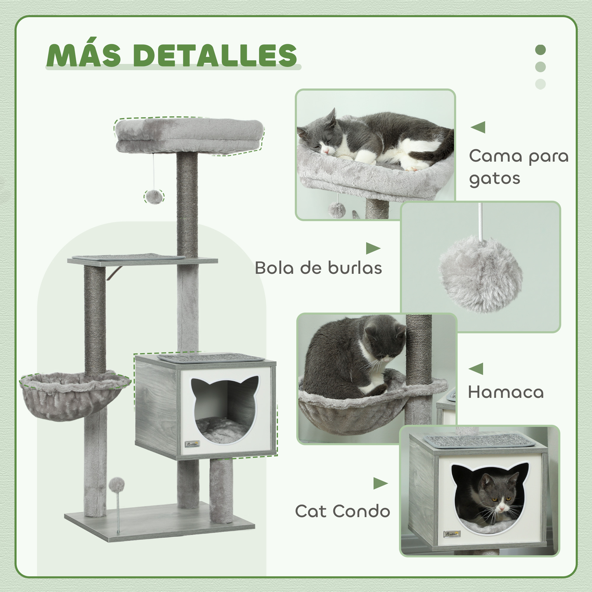 Dimensions de l’arbre