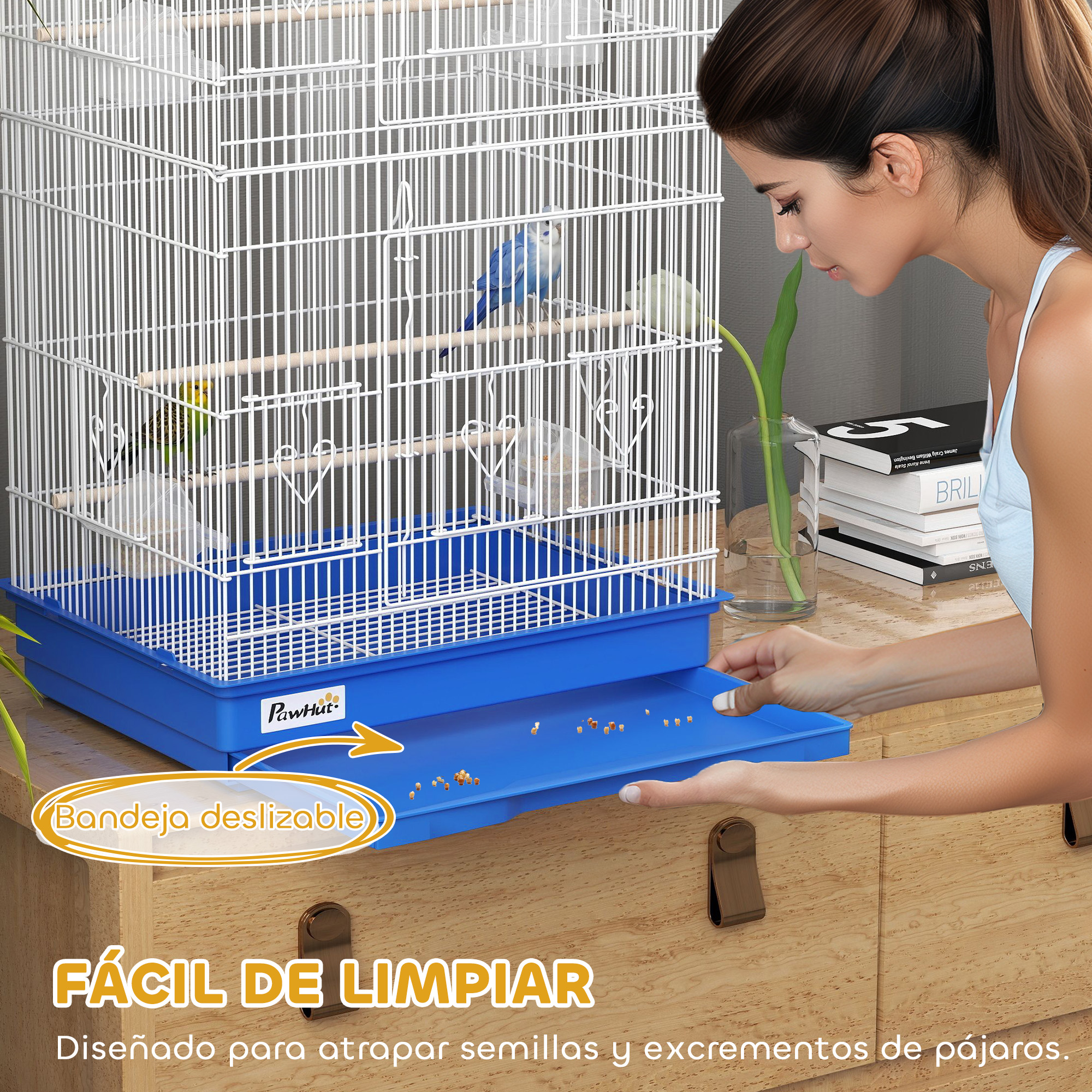 T1008-01-11099 image 2