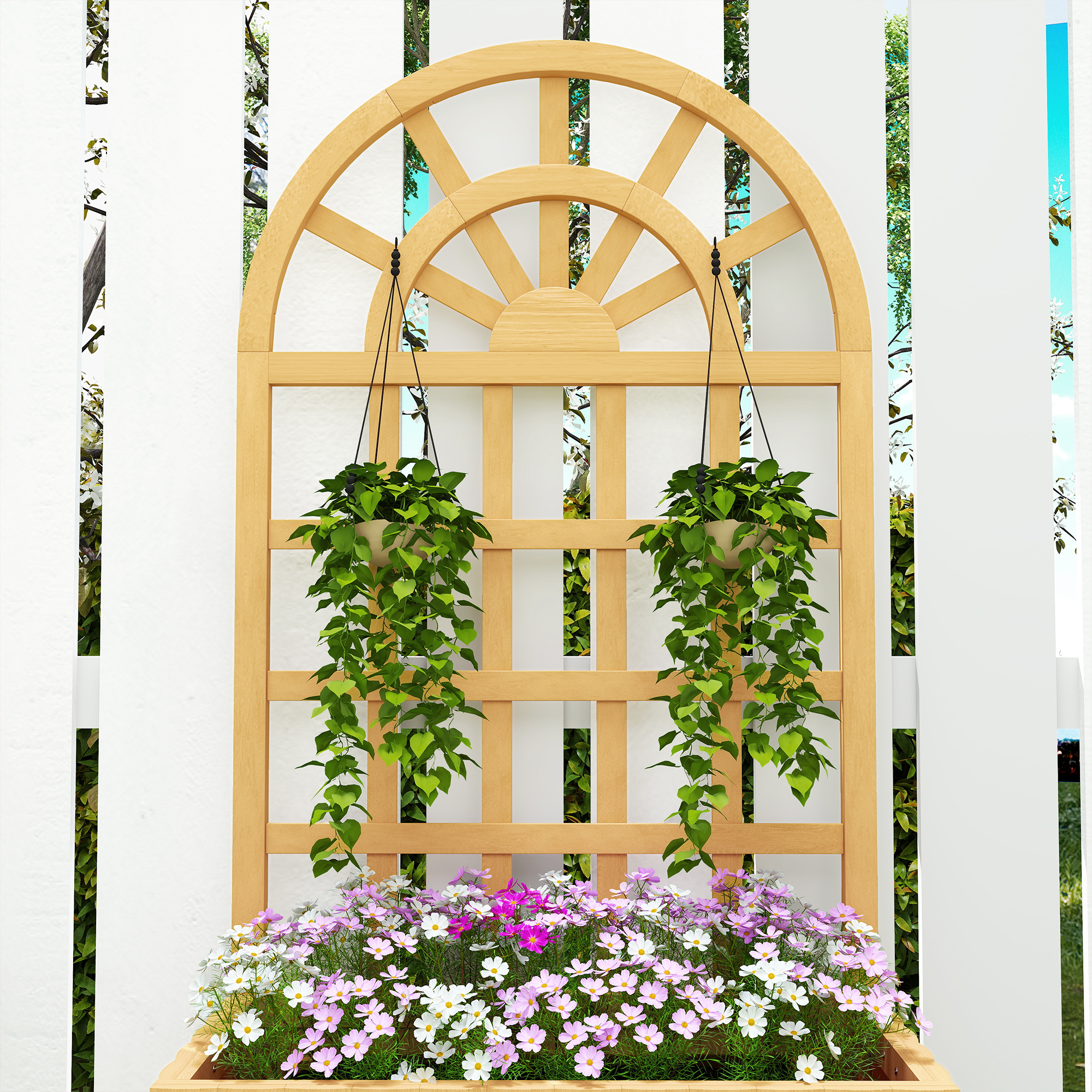 T1008-01-10233 image 5