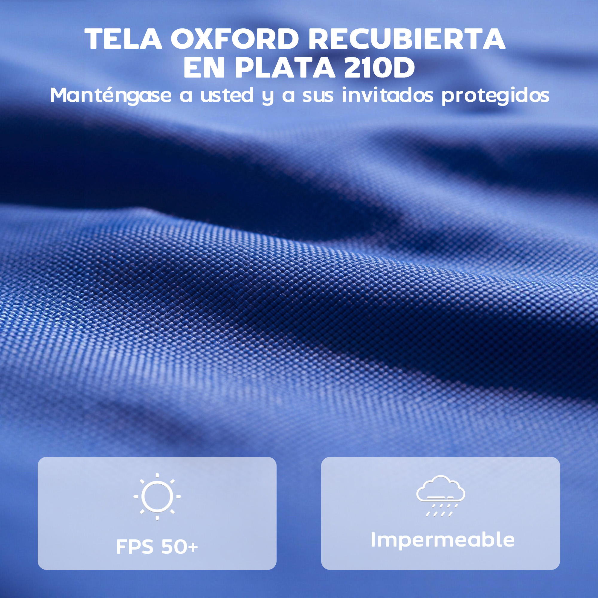 T1008-01-10381 image 2