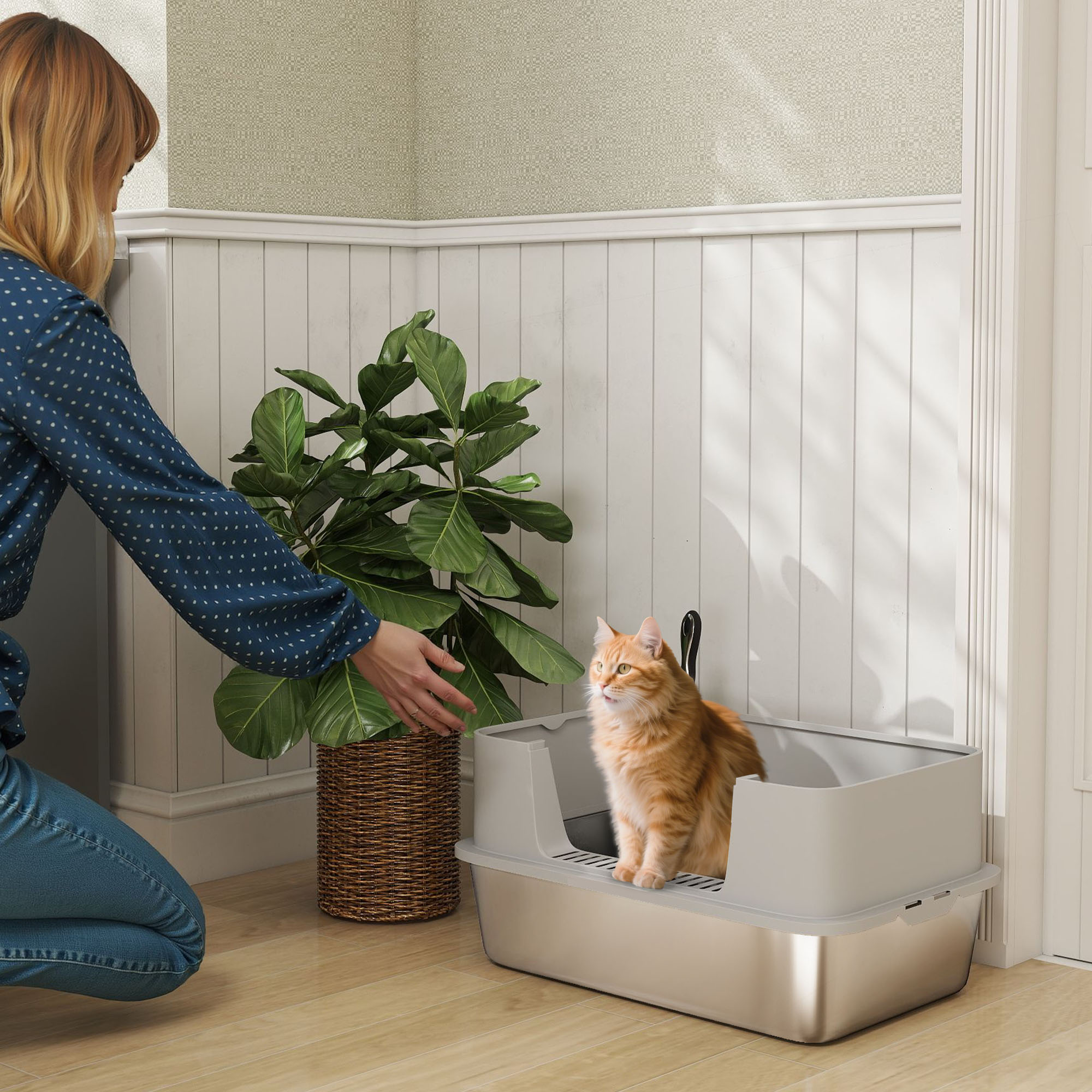 Litière XL pour chat