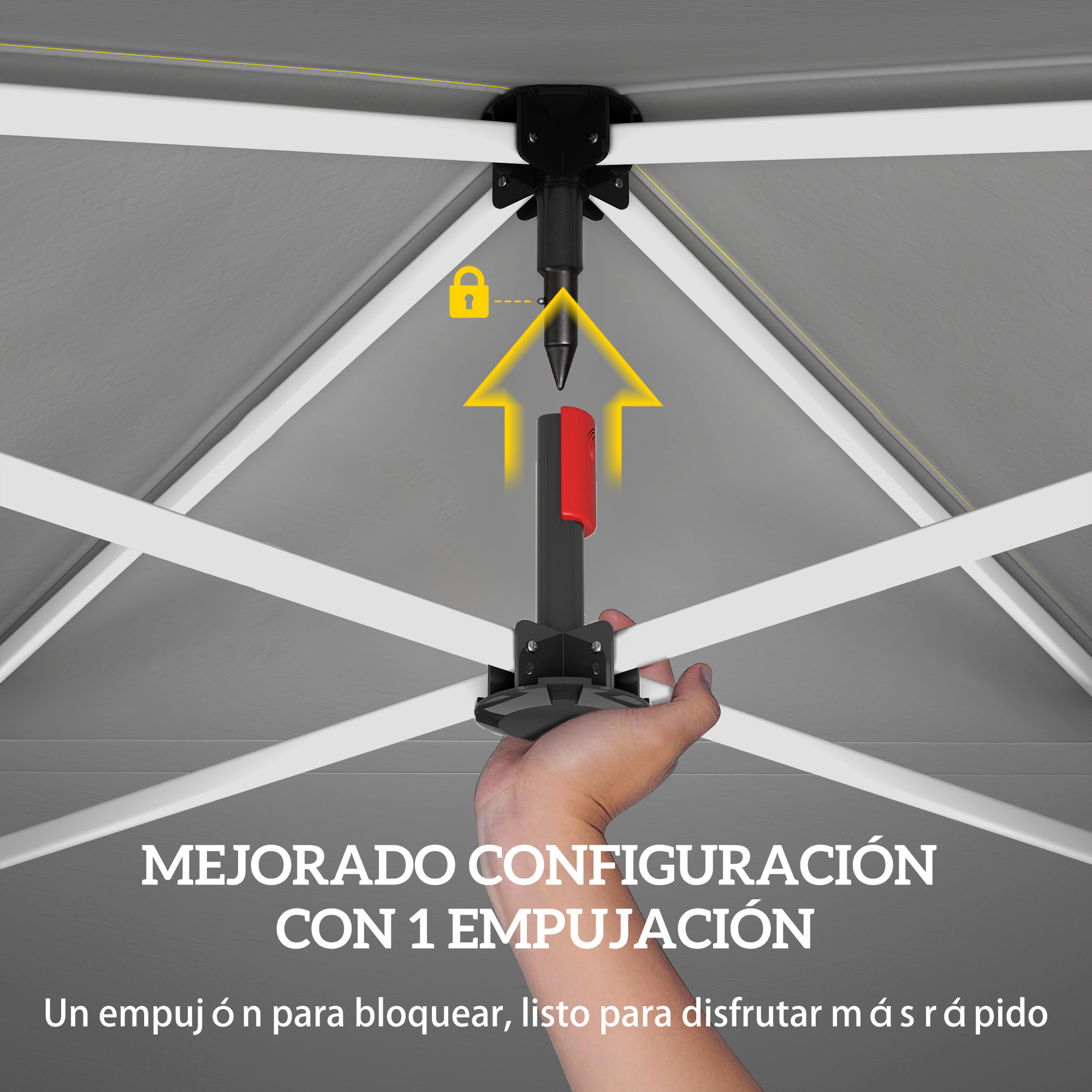 T1008-01-10927 image 1