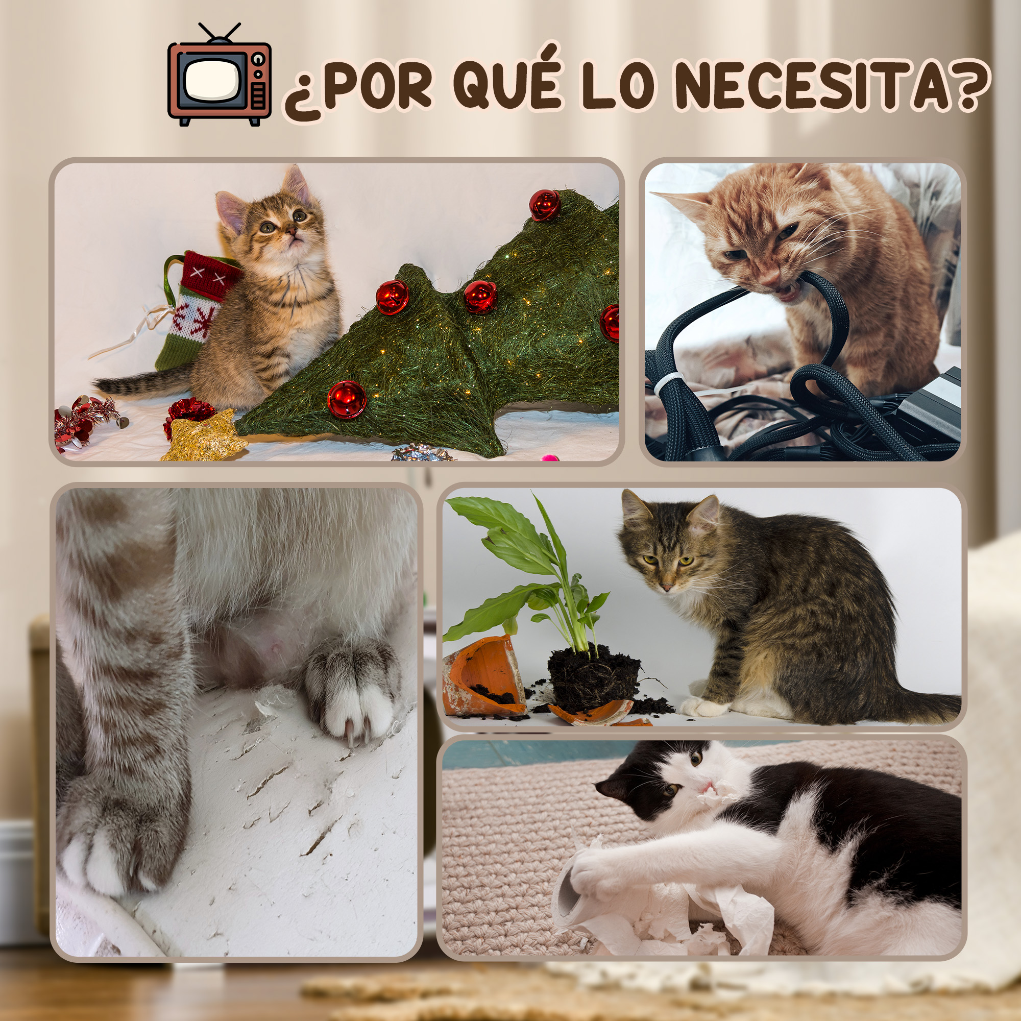 Protege tus muebles
