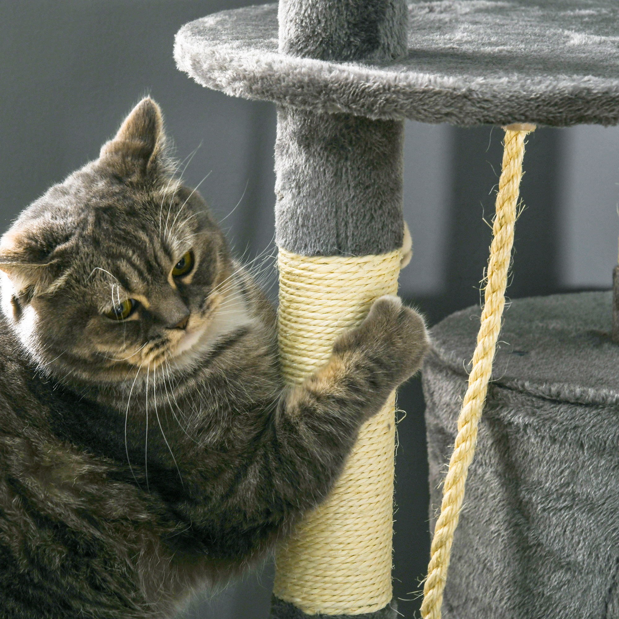 Arbre à chat dans un coin du logement