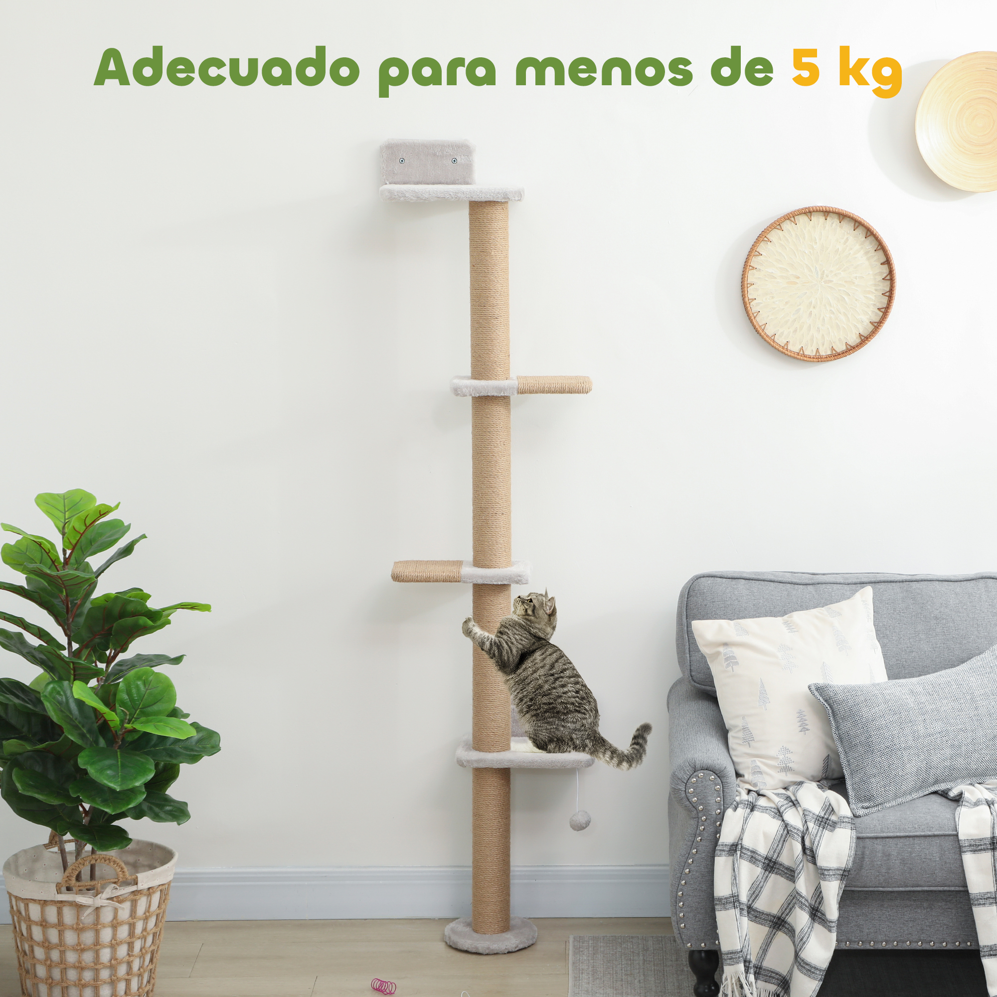 Design fin et mural, gain de place