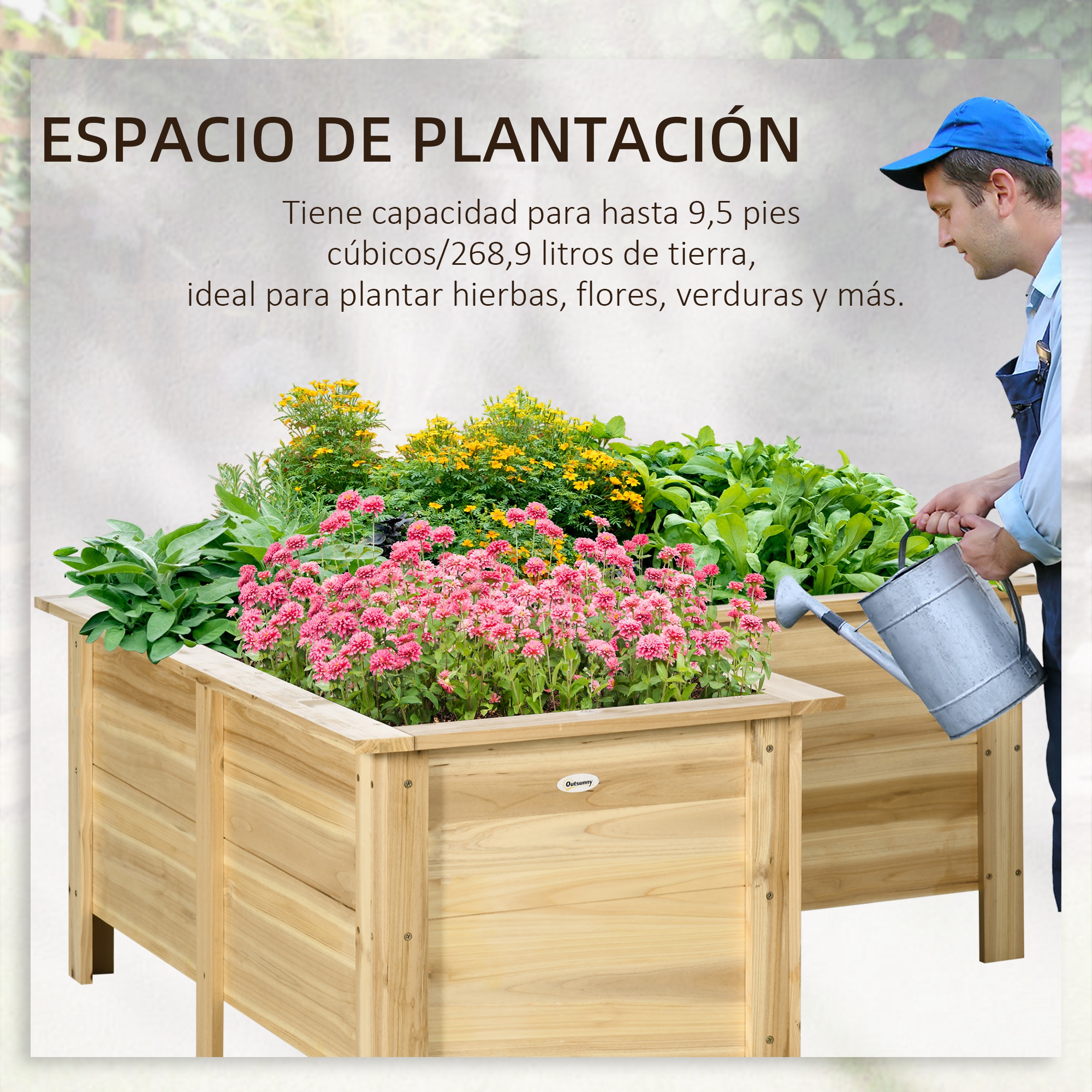T1008-01-10109 image 2