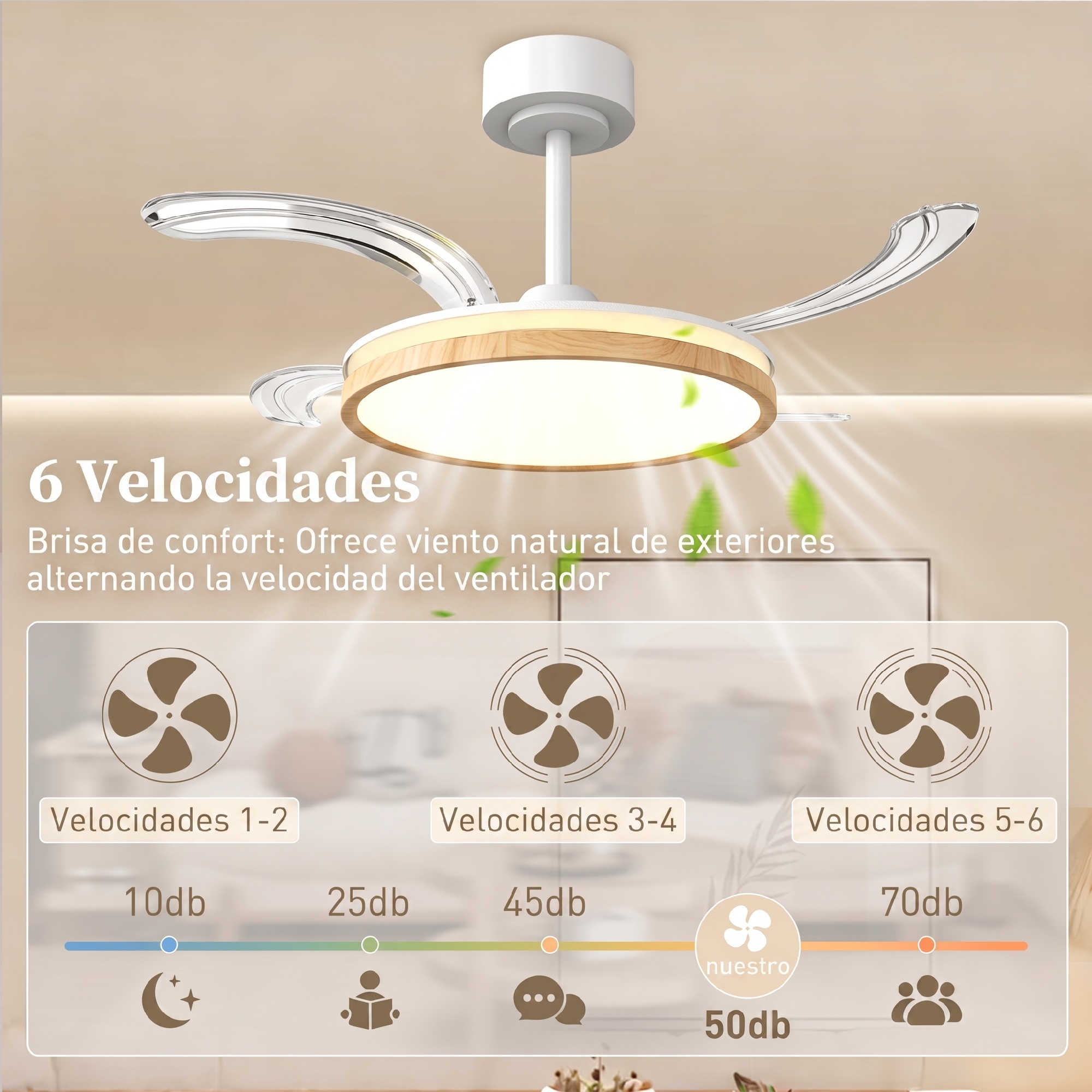 4 pales transparentes déployées 95cm repliées 40cm