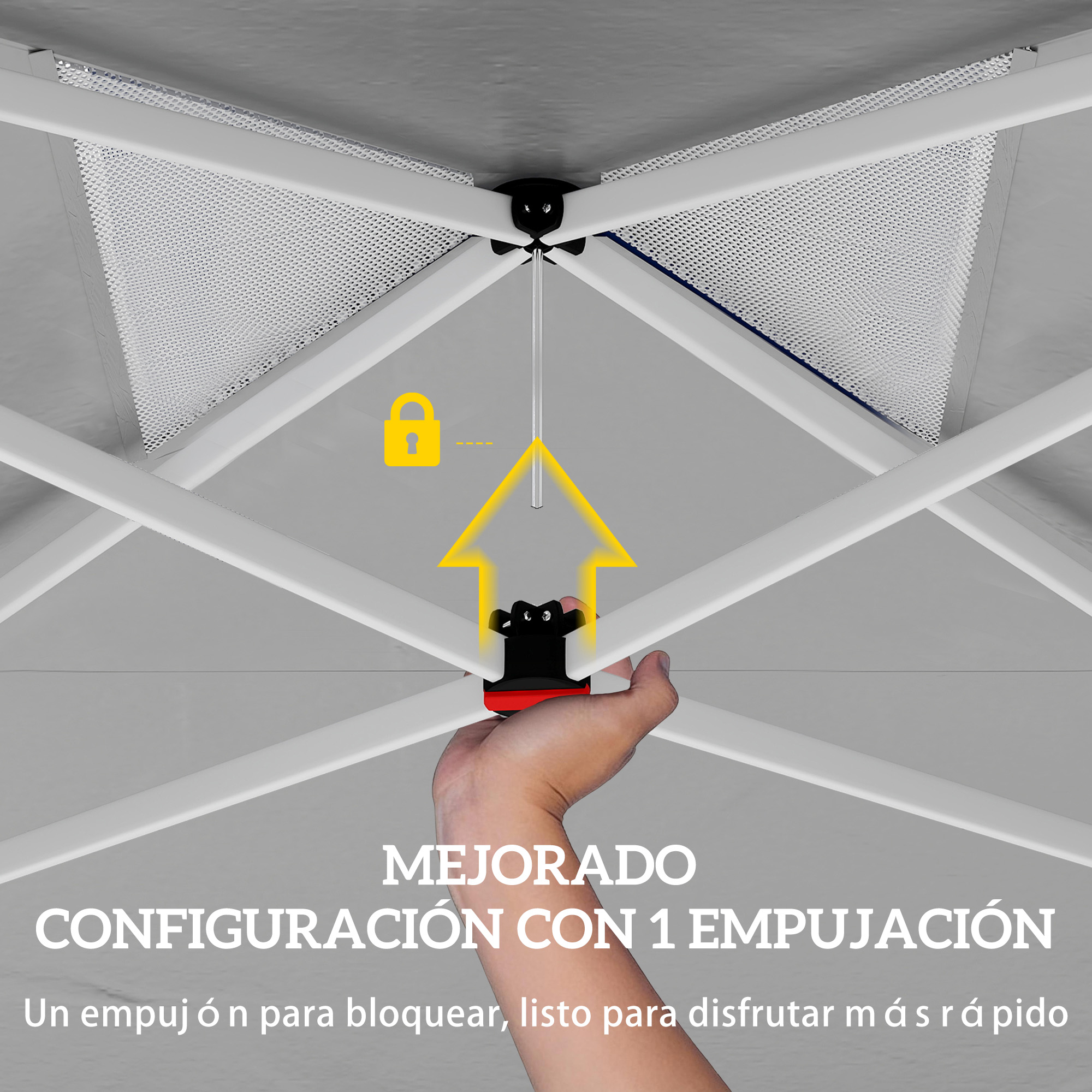 T1008-01-10347 image 2
