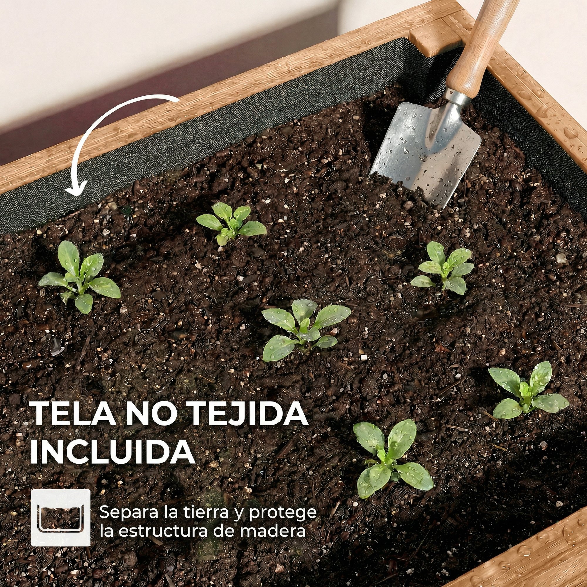 T1008-01-11158 image 4