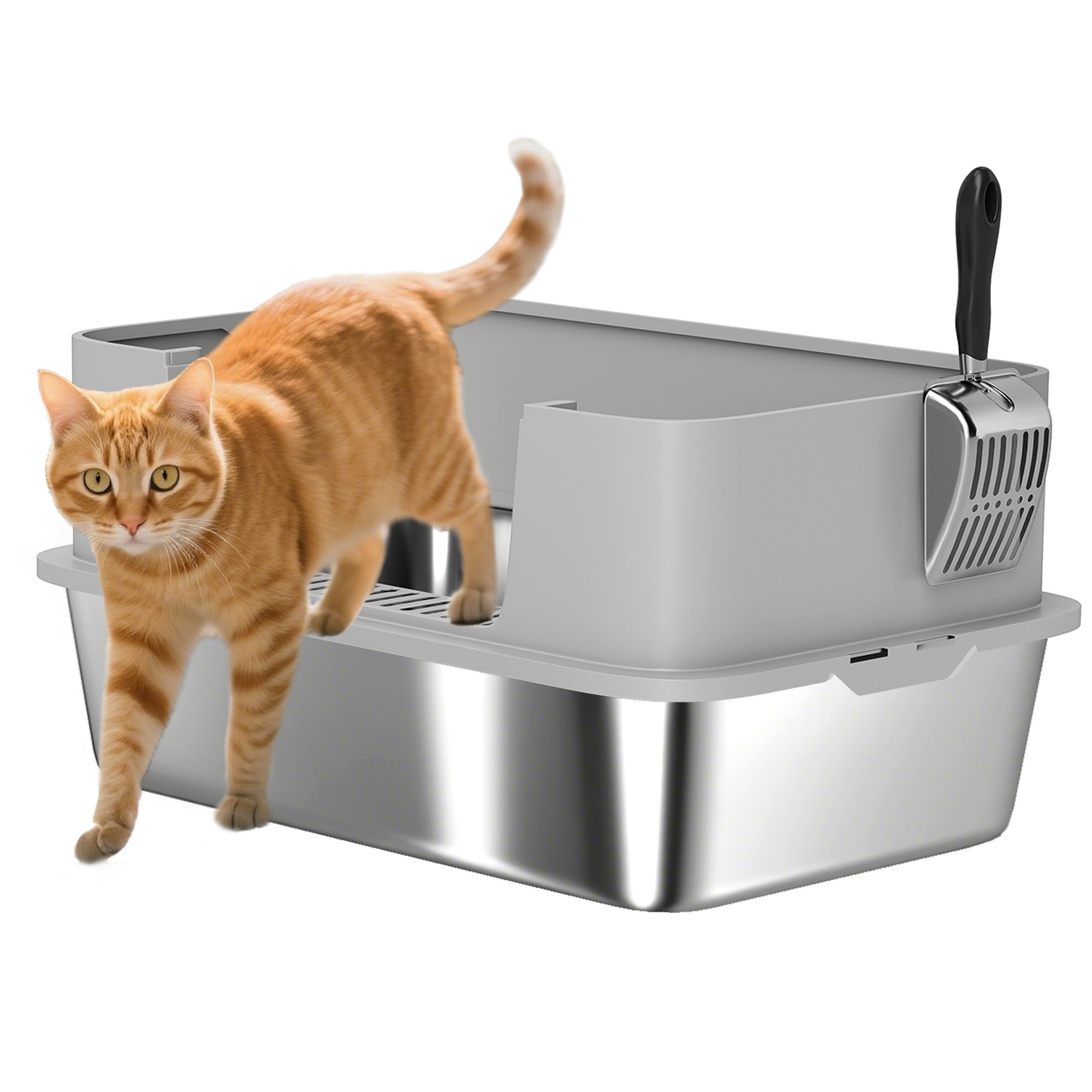 Litière pour chat acier inoxydable