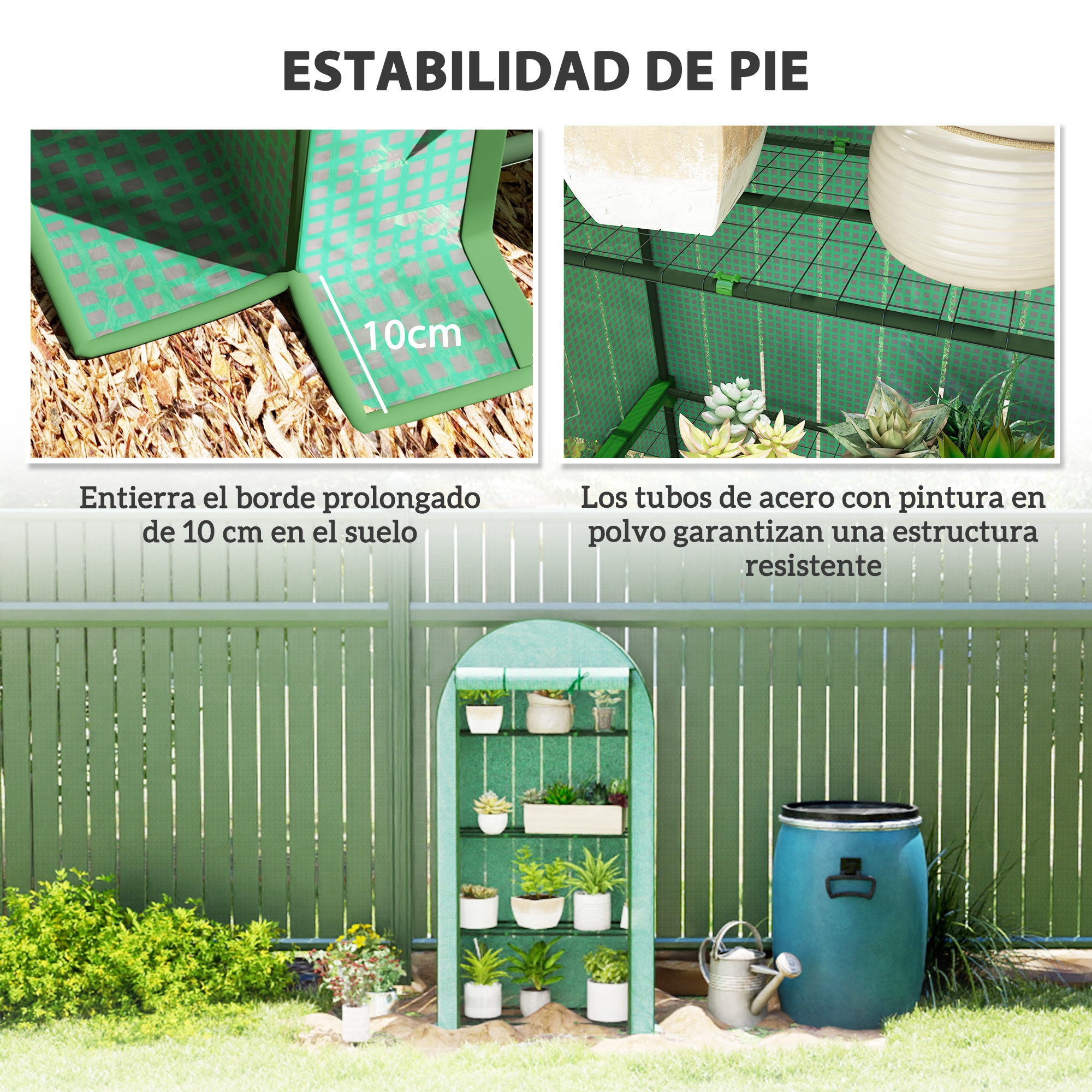 Plantes sur les étagères