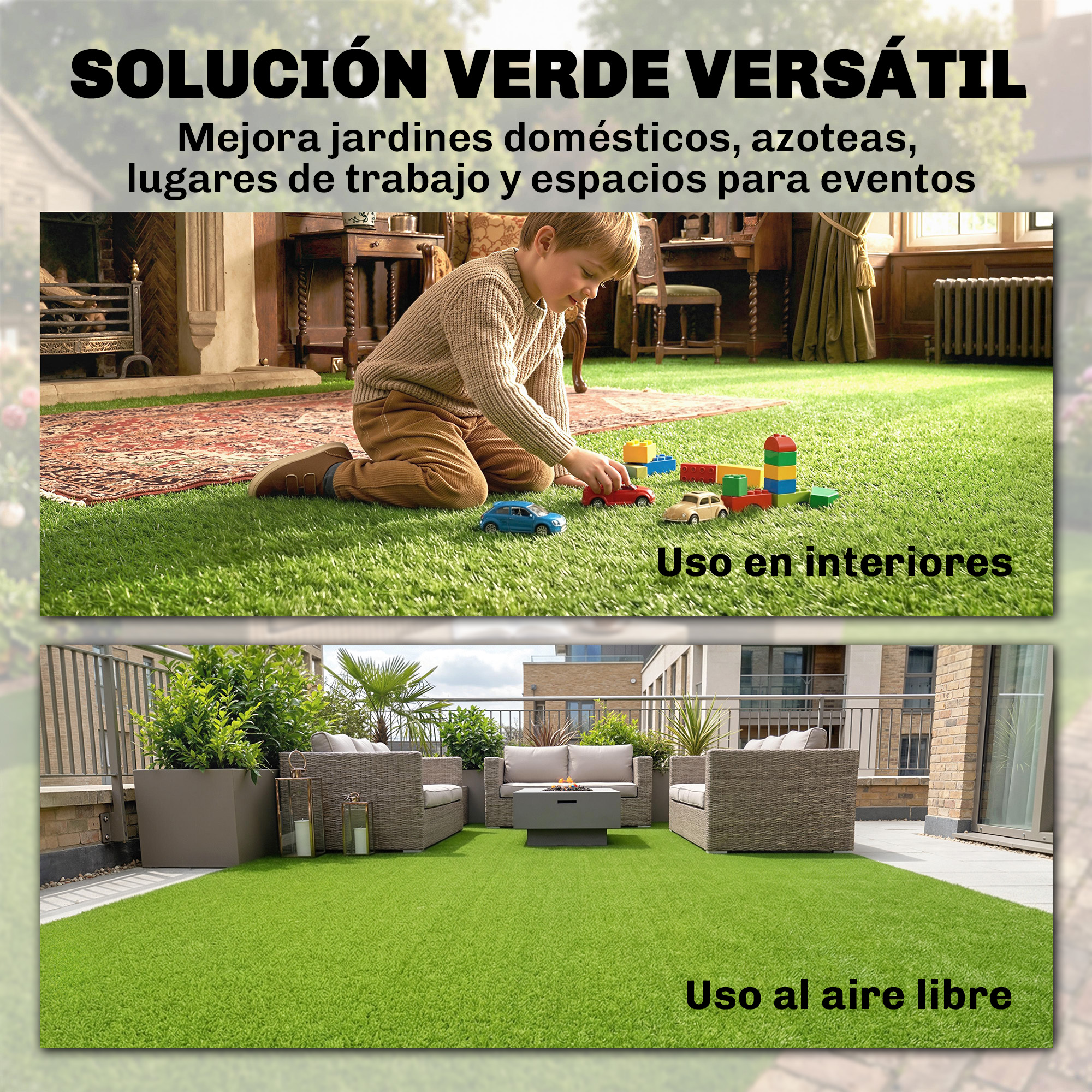 T1008-01-10587 image 5
