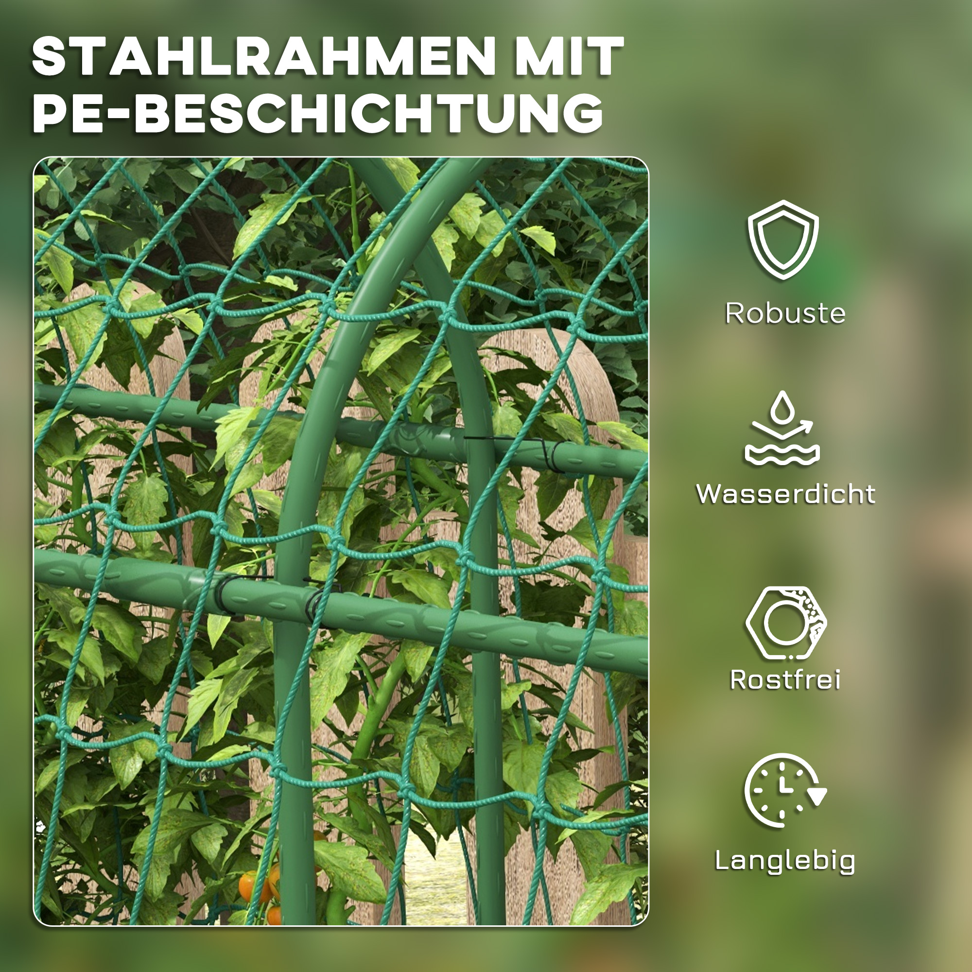T0002-01-13766 image 3