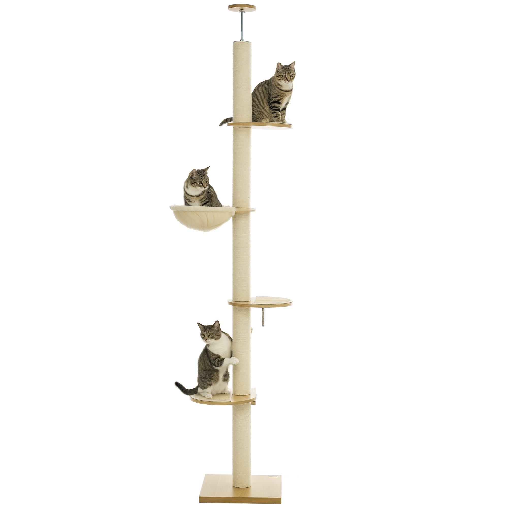 Arbre à chat jusqu'au plafond. sécurité anti-basculement. poteaux en corde de sisal. bois composite. chêne et blanc crème