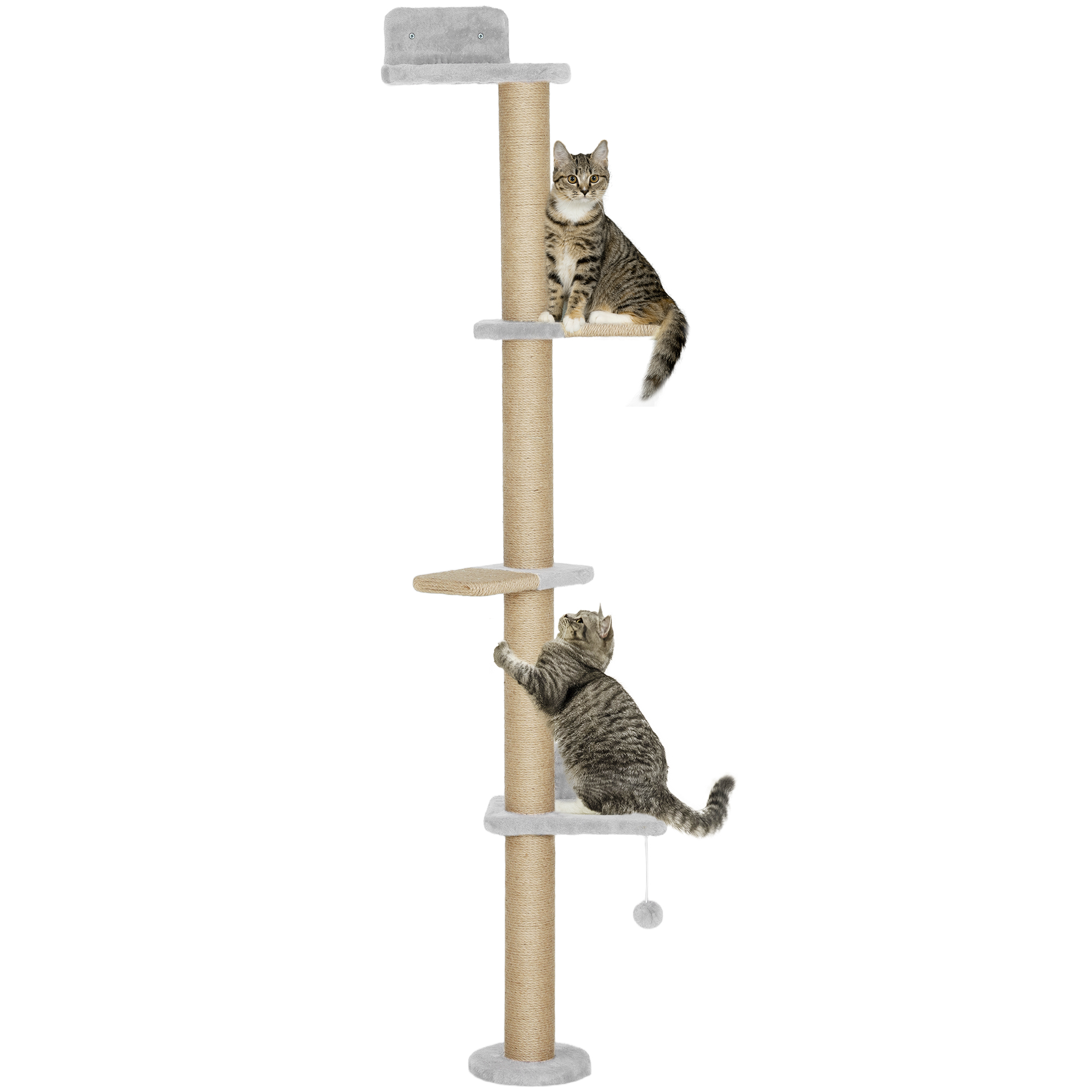Arbre à chat pour chat. design 5 niveaux. jouets. poteaux en sisal. tissu en peluche. gris clair