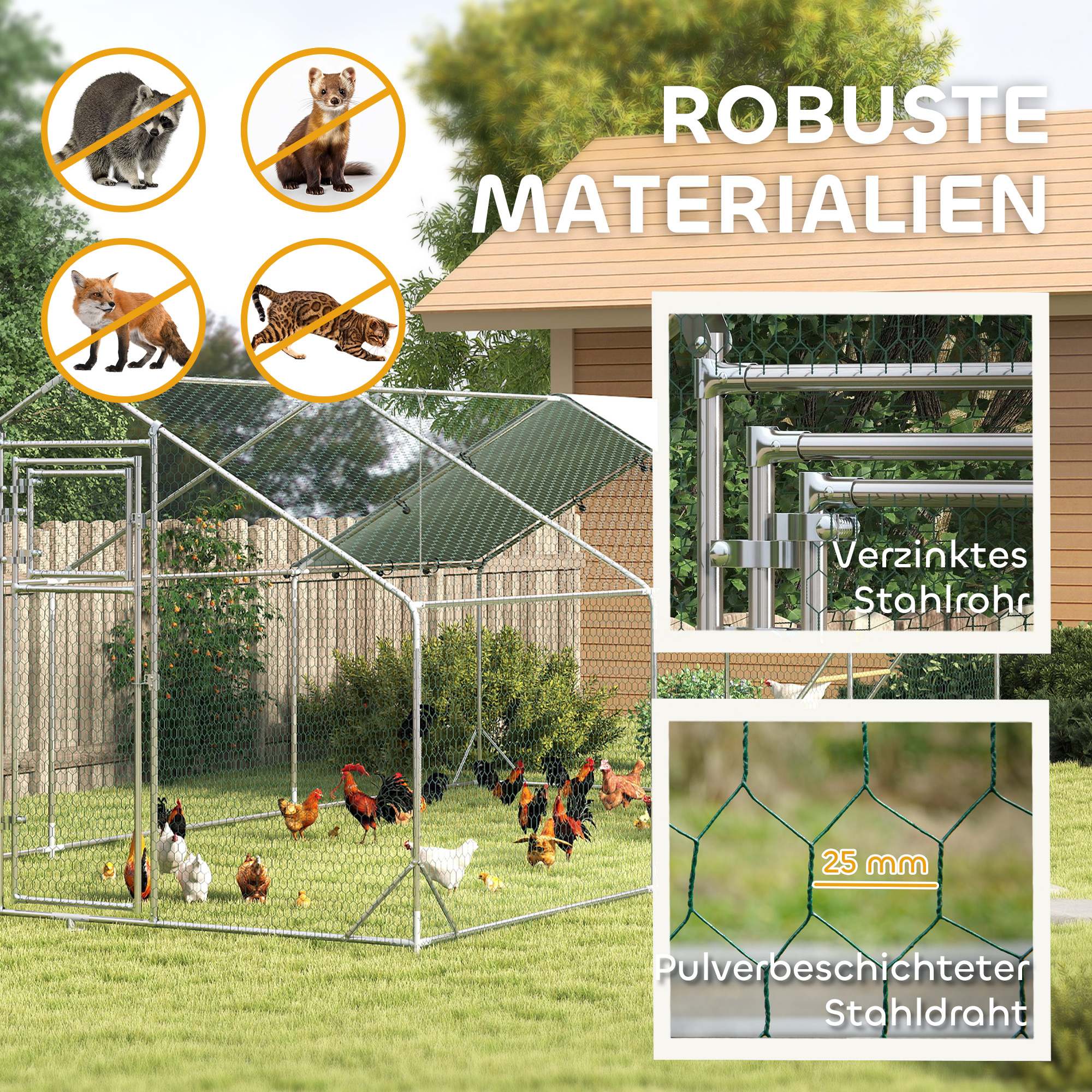 Les poules dans le parc