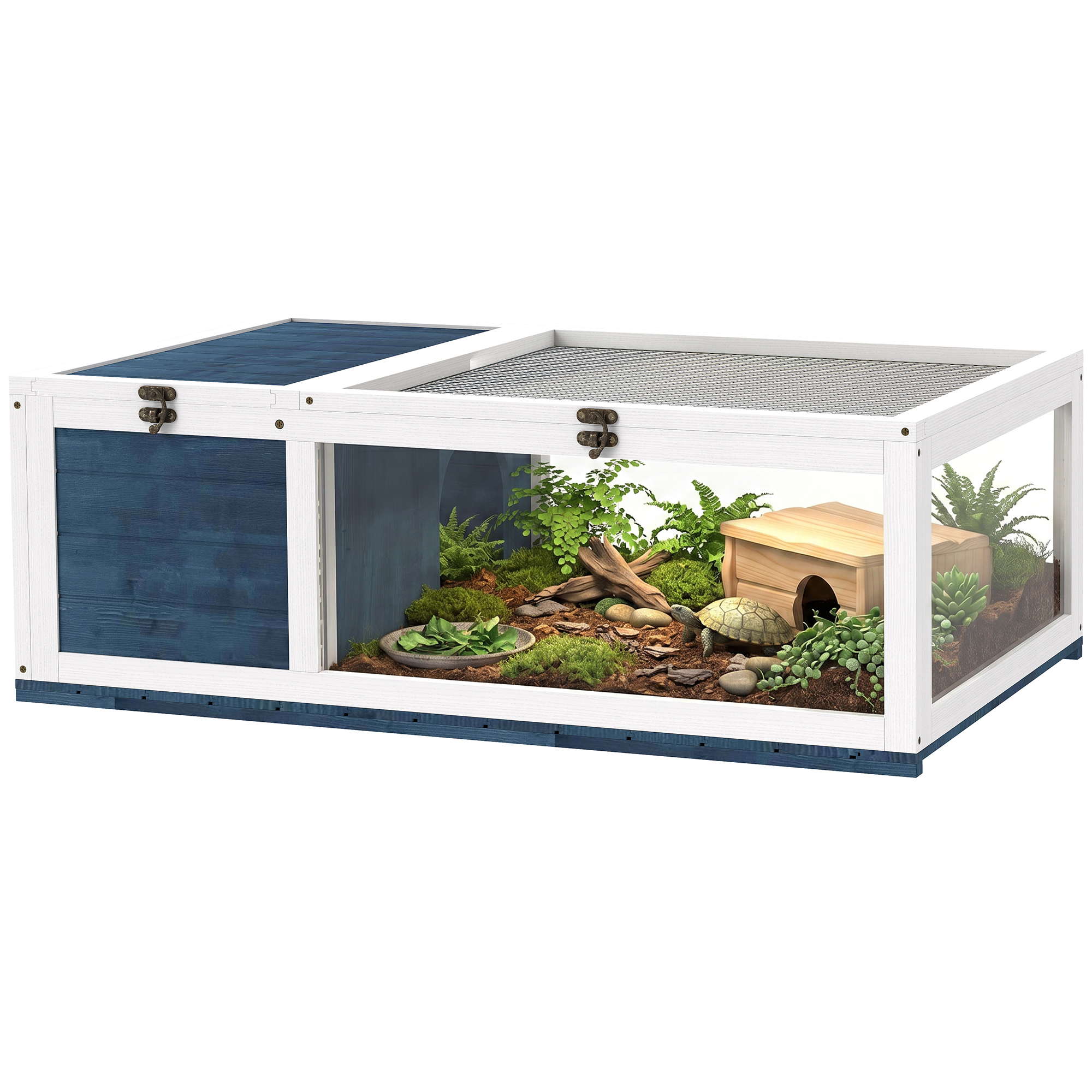 Maison pour tortue