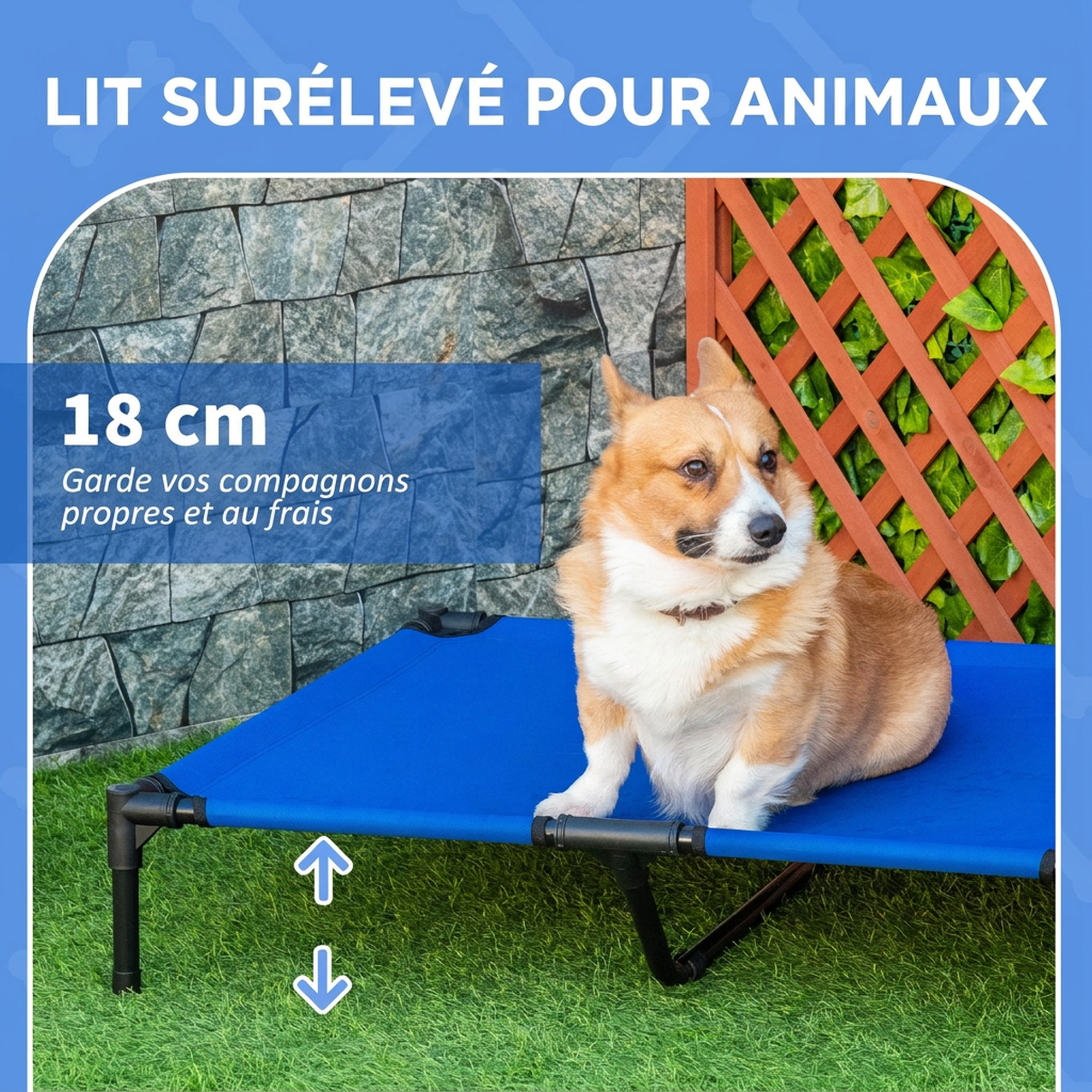 vue supplémentaire