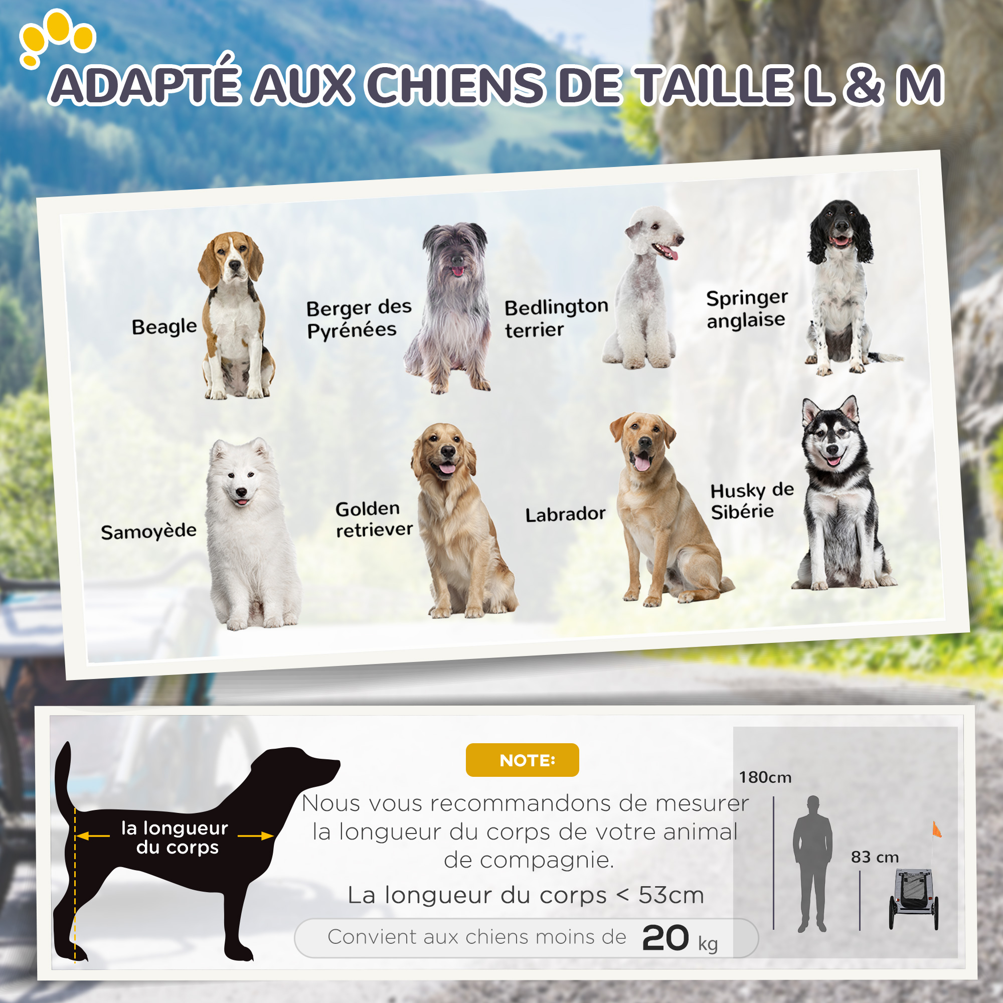 vue supplémentaire