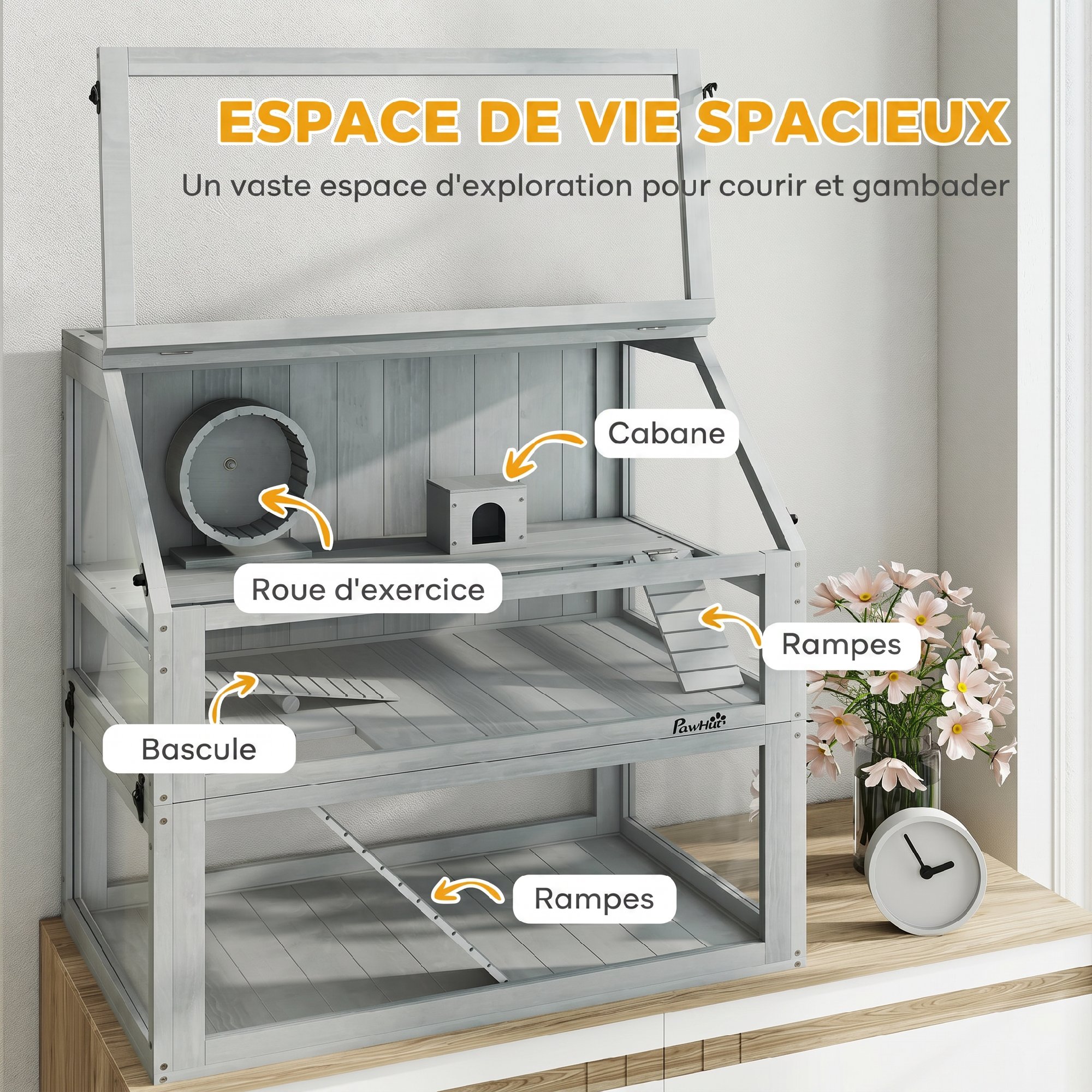 Vue cristalline