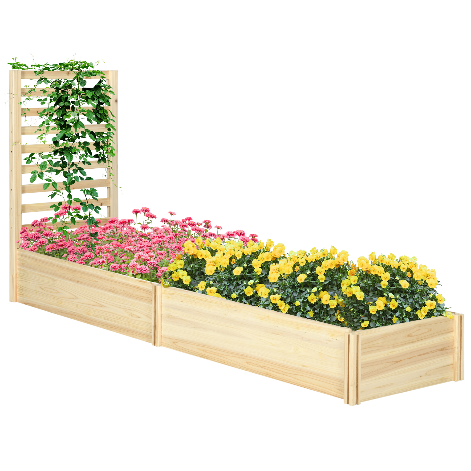 Huerto elevado, jardín cuadrado, sistema de cultivo de madera, verduras aromáticas