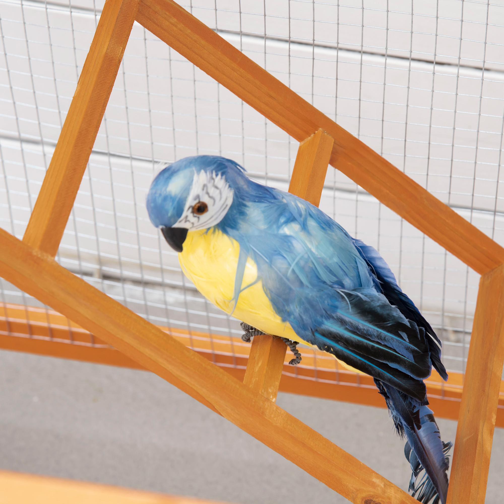 T1003-01-13962 image 6