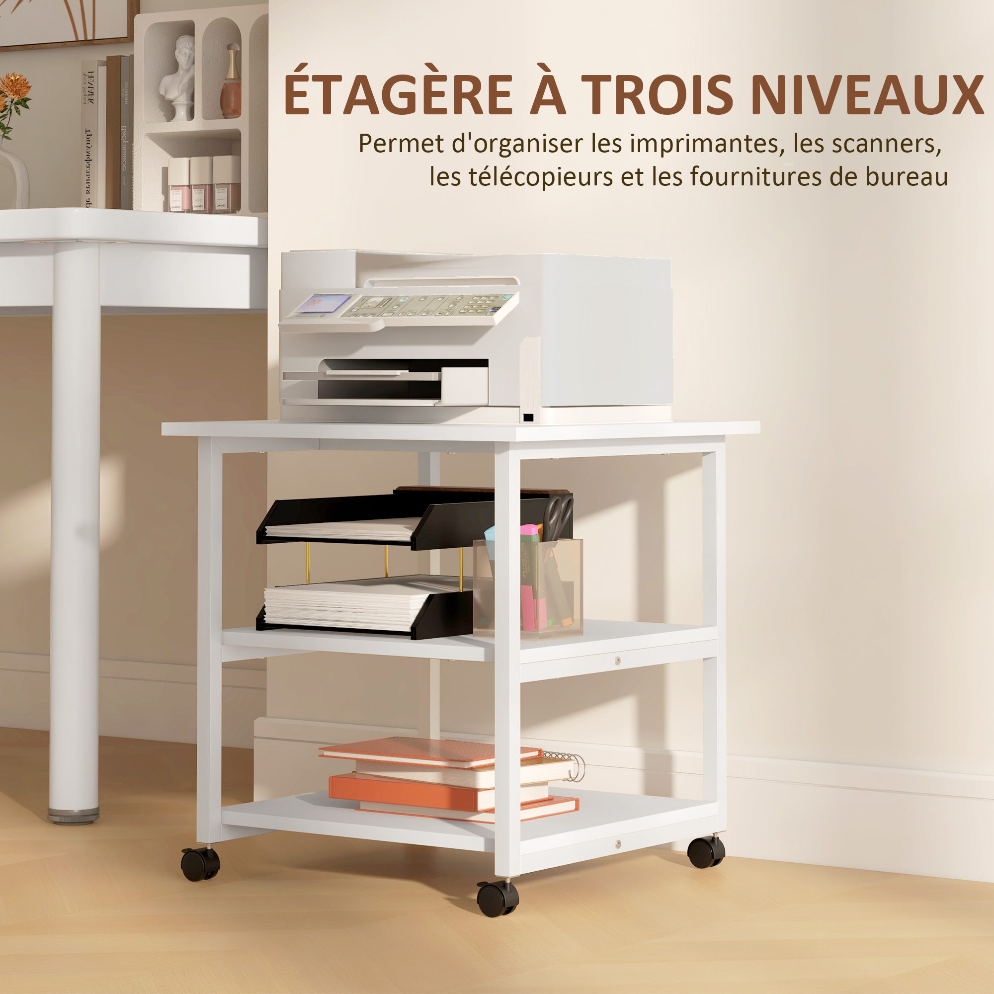 T1003-01-09617 image 1