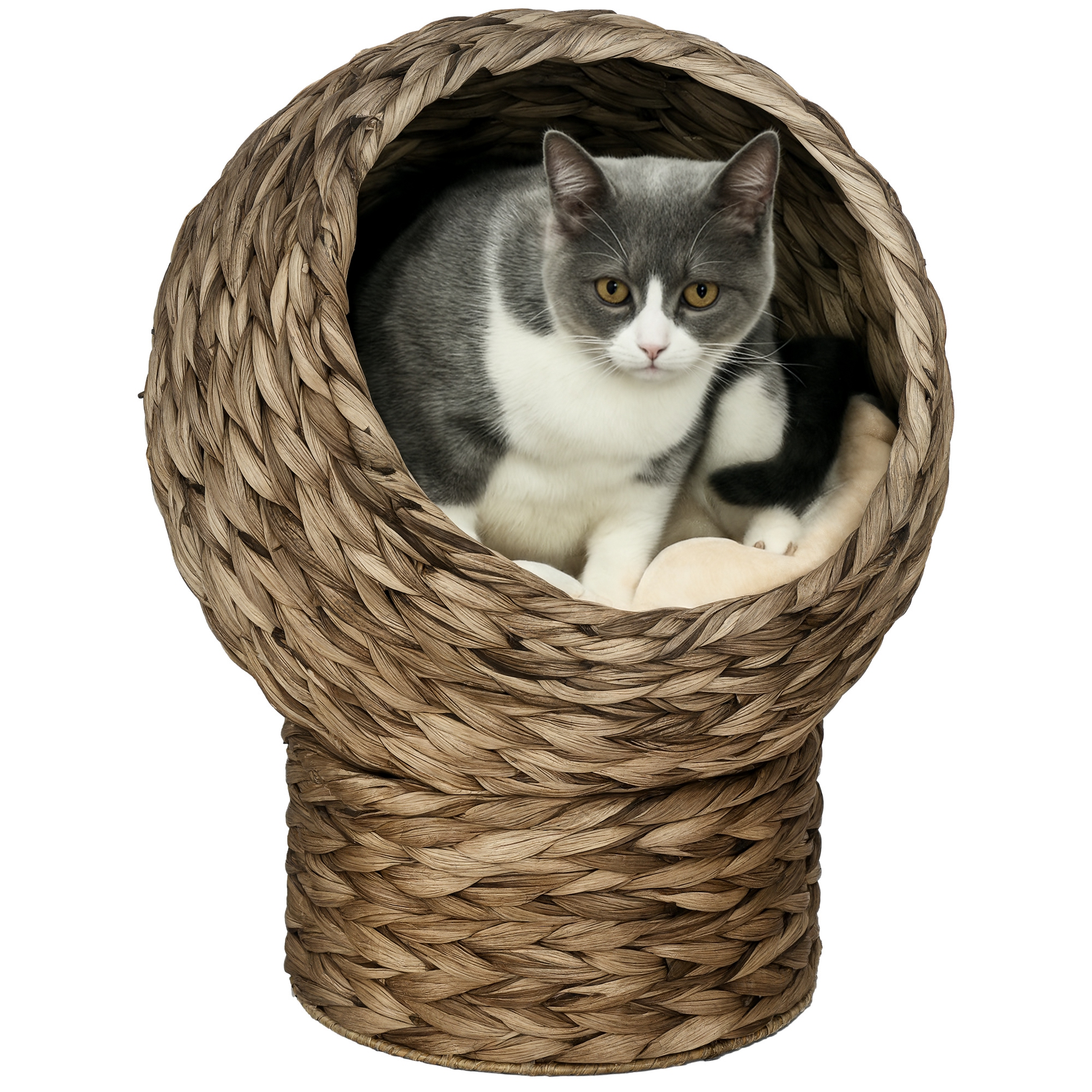  Panier chat lit surélevé chat cosy niche grotte à chat grand confort dim. 40L x 37l x 51H cm coussin moelleux beige inclus