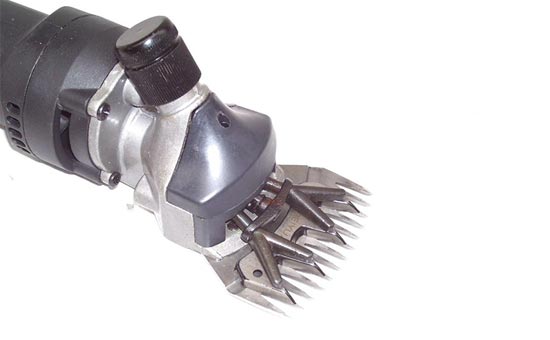 class=img-responsive