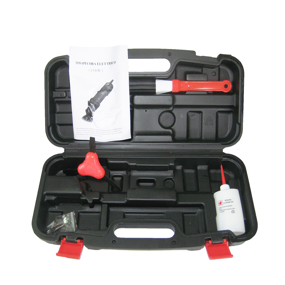 class=img-responsive