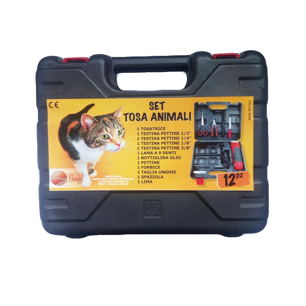 class=img-responsive