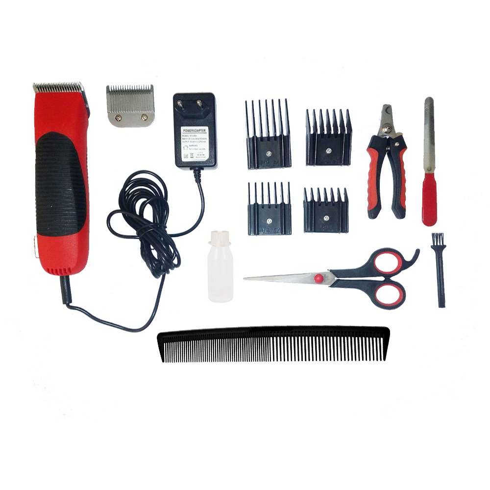 class=img-responsive