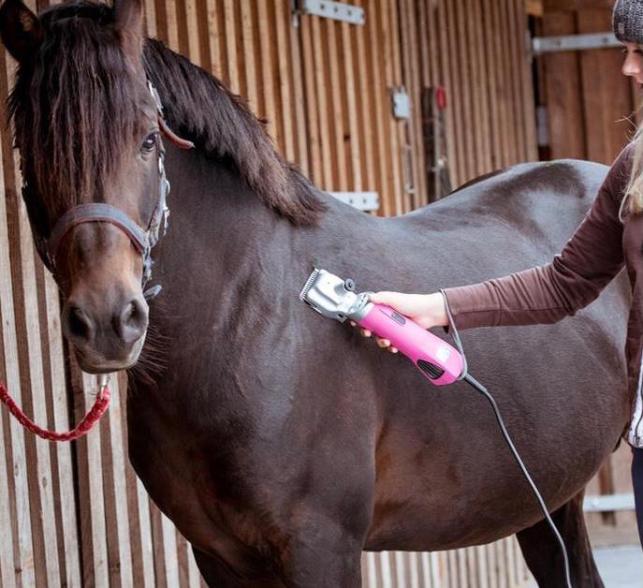 class=img-responsive