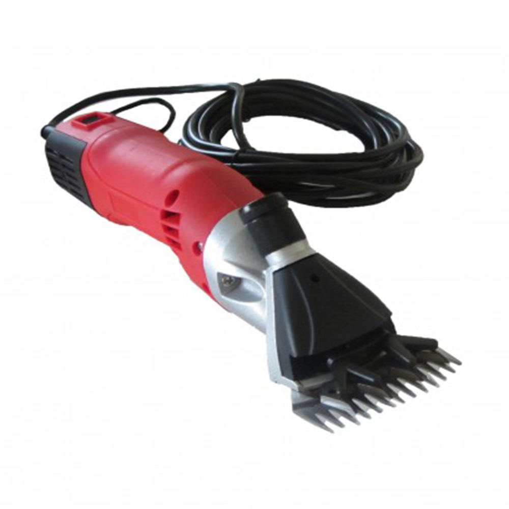 class=img-responsive