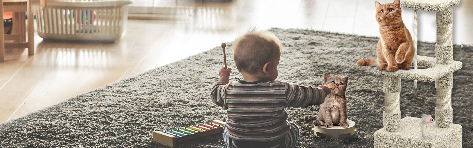 Arbre à Chat 88cm Avec Corde Griffoir Plateforme Niche Beige -Amis Poils Soldes Boutique AAHKMJXYDAFdJAOAIMEbOAch25Oe7T 3Pt0Wo 99X94RuNcyjRjO1p1c6qiQ5e1aqOHxbTwBAg8wrDT4KWiO0NMj nGKIRvQFZwtrx9W9J94hQ6dncbvrly7P t5egfa5uXltaUSDageaYYS5vcVcU0Ngdm4 w0PUbO 6huILSVdc7Gfrv d9QTbR61VyDoML7EBSj3fnh9bodI4OQWrGBu9vqVA8hk9OKMKtLlIAjHdA==