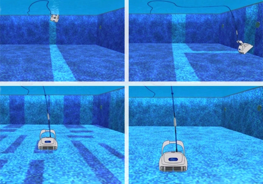 Dolphin Pool UP Digital in azione