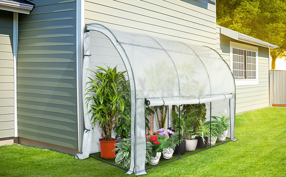 Greenhouse Image 2