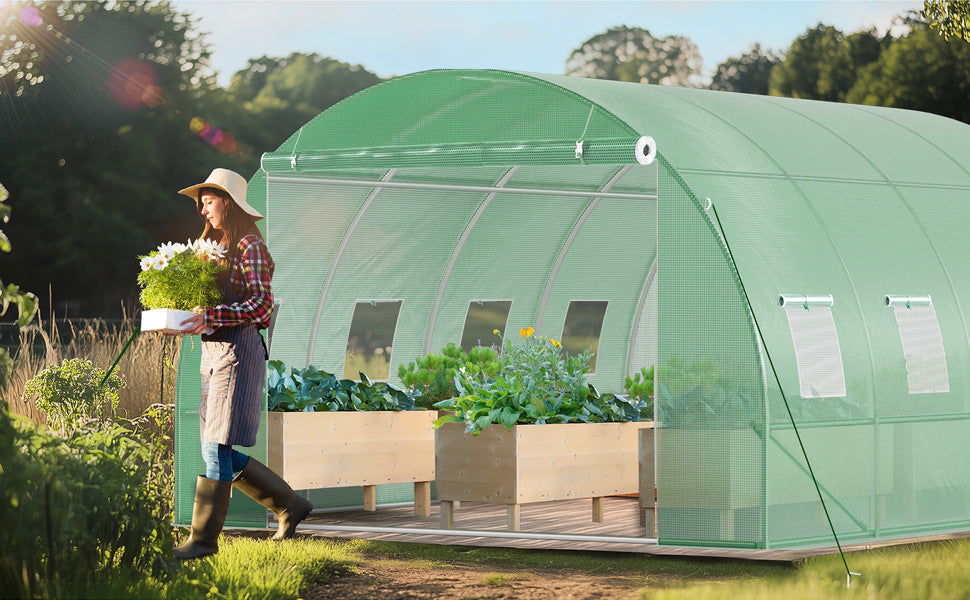 Greenhouse Windows