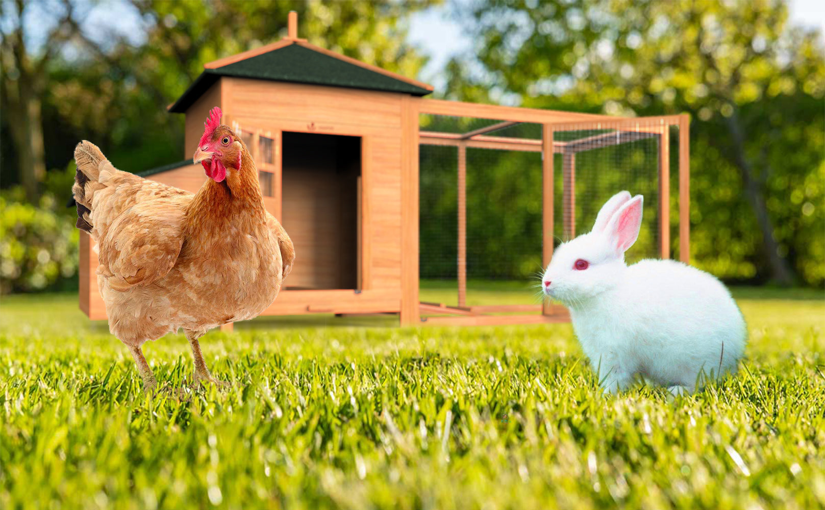 Grand Poulailler En Bois Avec Pondoir Et Perchoir -Trixie || Flamingo Soldes Magasin AAHKMJXYDAFdJAOAIMEbOAch25Oe7T 3Pt0Wo 99X94RuPhxQnAu4fXOD8YNHjEdpViMNwJ GbHGSyn6R J1u6lN0d11ZD