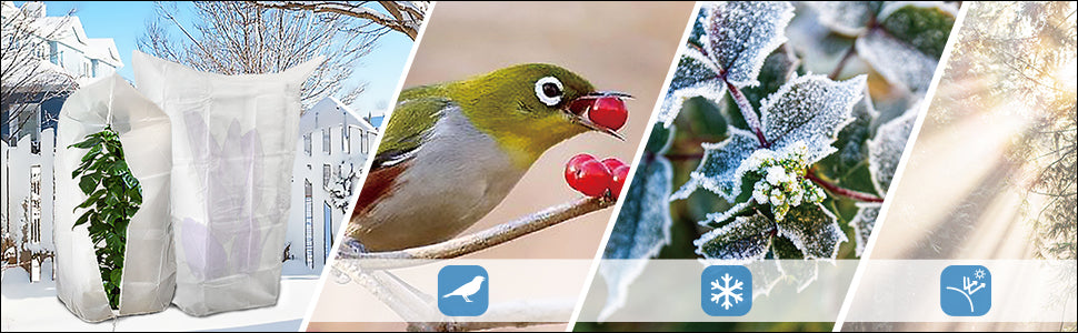 Lot De 3 Housse Hivernage Plante Avec Cordon Et Zipper Polypropylème 80g/m² 200x240cm Blanc -Jardin Doux Soldes Magasin AAHKMJXYDAFdJAOAIMEbOAch25Oe7T 3Pt0Wo 99X94RuPhxQnAu4fXOD8YNHjEdpViMNwJ GbHGSyn6R J1u6lN2mZYB49jZ5j77i8YV89GWtKZwq ZK7CY7GtZwCETWXVArkXmL5Y7OTTZbvtZ5U2HAqOZAhr ZuQWKGoMK