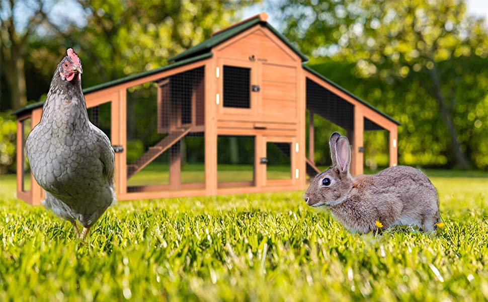 Poulailler En Bois XL Avec Pondoir Et Perchoir -Trixie || Flamingo Soldes Magasin AAHKMJXYDAFdJAOAIMEbOAch25Oe7T 3Pt0Wo 99X94RuPhxQnAu4fXOD8YNHjEdpViMNwJ GbHGSyn6R J1u6lNDgTOJ6n b9XcTa4fI2i