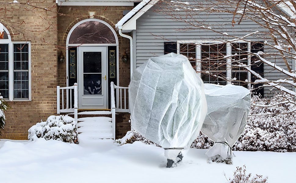 Voile D’hivernage En Polypropylème 50g/m² 1.5x20m Avec Piquets Blanc -Jardin Doux Soldes Magasin AAHKMJXYDAFdJAOAIMEbOAch25Oe7T 3Pt0Wo 99X94RuPhxQnAu4fXOD8YNHjEdpViMNwJ GbHGSyn6R J1u6lNIpeekYEF3aLpDh11yaOz Ktzg TYFYku3RvmY24LJnq0z7H8ZshBhycGrGNAjqvZwhIEOa3EkSPe0JDYTrd7uQ==