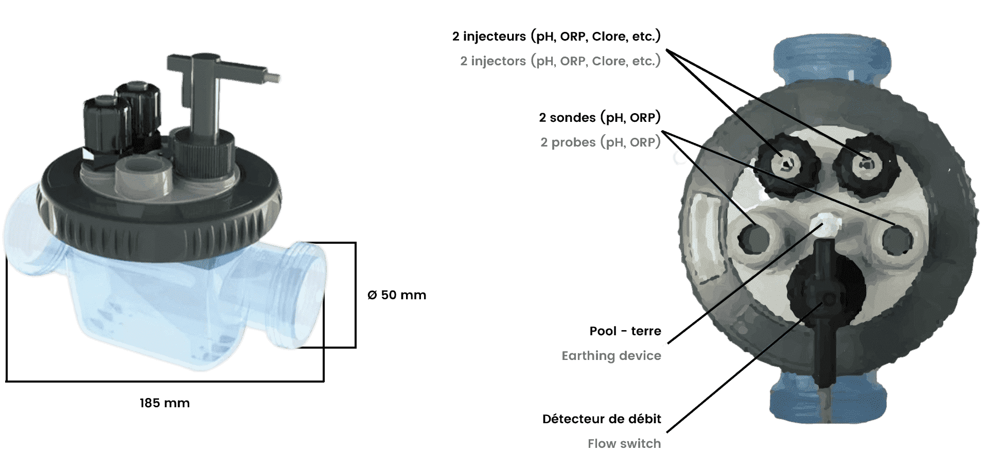 Dimension du zelia pod