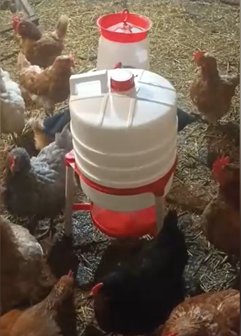 abbeveratoio