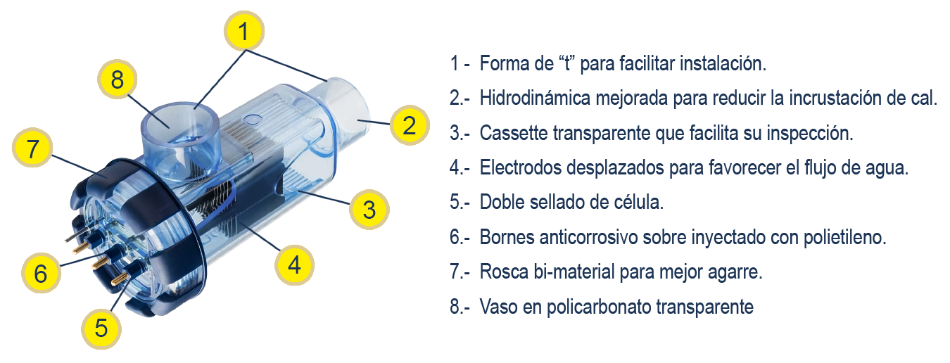 Esquema-celula-SMC-2-w.png