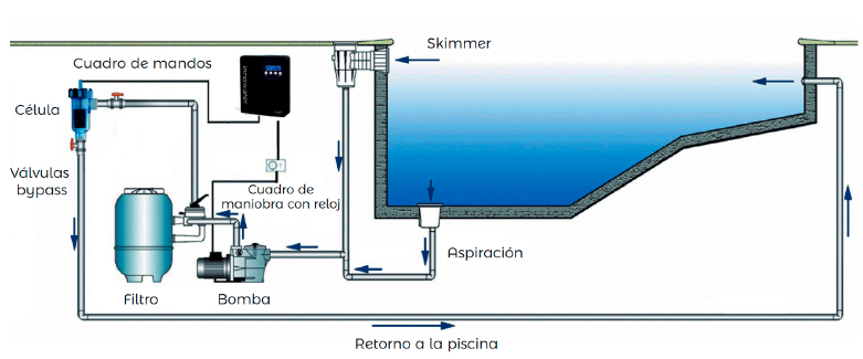 Esquema-celula-SMC-2-w.png