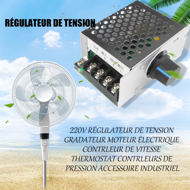 Ventilateur Électrique à Vitesse Variable 220V - Ventilateur de